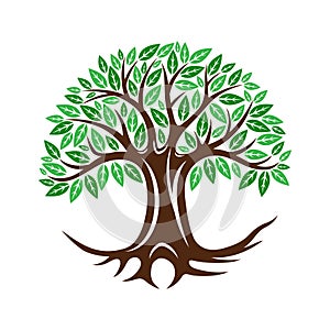 Round tree icon with leaves and roots.