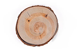 Round tree slice with bark isolated on white background