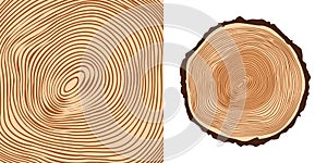 Round tree trunk cut, sawn pine or oak slice. Saw cut timber, wood. Brown wooden texture with tree rings. Hand drawn