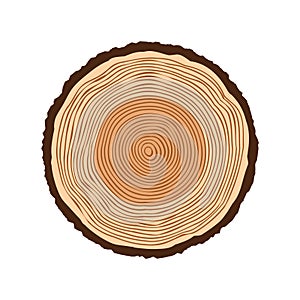 Round tree trunk cut, sawn pine or oak slice. Saw cut timber, wood. Brown wooden texture with tree rings. Hand drawn