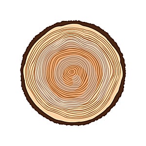 Round tree trunk cut, sawn pine or oak slice. Saw cut timber, wood. Brown wooden texture with tree rings. Hand drawn