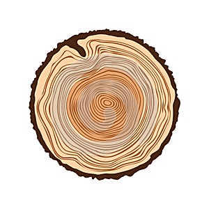 Round tree trunk cut, sawn pine or oak slice. Saw cut timber, wood. Brown wooden texture with tree rings. Hand drawn