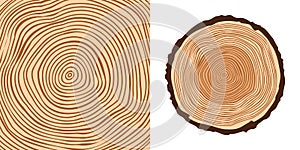 Round tree trunk cut, sawn pine or oak slice. Saw cut timber, wood. Brown wooden texture with tree rings. Hand drawn