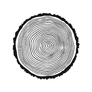 Round tree trunk cut, sawn pine or oak slice. Saw cut timber, wood. Wooden texture with tree rings. Hand drawn sketch