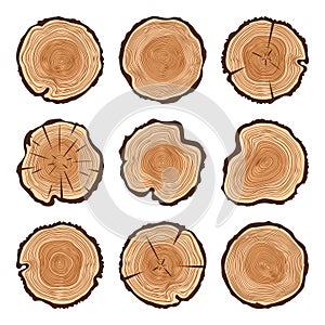 Round tree trunk cuts with cracks, sawn pine or oak slices, lumber. Saw cut timber, wood. Brown wooden texture with tree