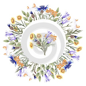 Round watercolor frame with wildflowers: cornflower, bells, tansy, yellow daisy and grass