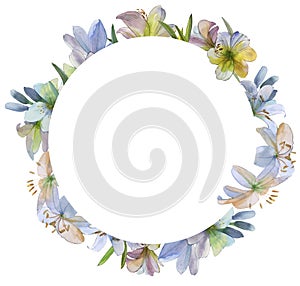 Round watercolor lily flower frame, flower wreath. For publications, wedding design, package design. Spring pastel gentle