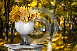 Round white lantern with a bouquet of yellow maple leaves in the autumn Park close-up. Beautiful autumn still life