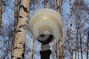 Round white Park lantern on a background of birches and blue sky