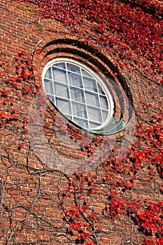 Round window