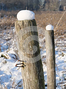 Round wooden posts of a wooden fence covered with snow hoods at a cattle pasture in Mecklenburg-Western Pomerania, Germany