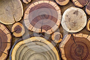 Round wooden unpainted solid natural ecological soft colored brown and yellow crackled stumps background, tree cut sections with