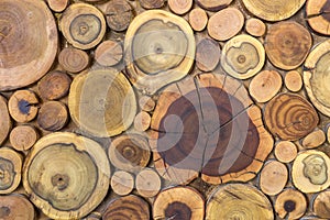 Round wooden unpainted solid natural ecological soft colored brown and yellow stumps background, Tree cut sections different sizes