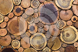 Round wooden unpainted solid natural ecological soft colored brown and yellow stumps background, Tree cut sections different sizes