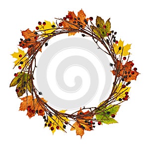 Round wreath from dry twigs, berries and autumn maple leaves