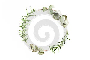 Round wreath frame made of mix of herbs, green branches, leaves eucalyptus, rosemary and plants collection on white