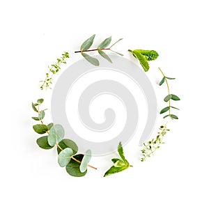 Round wreath frame made of mix of herbs, green branches, leaves mint, eucalyptus, thyme and plants collection on white