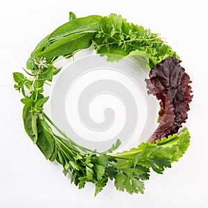 Round wreath green frame made of variety fresh edible herbs on white. Top view, copy space, flatlay, close-up