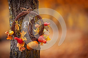 Round wreath with on natural tree on fall background. Sunny autumn day, daylight. Copy space