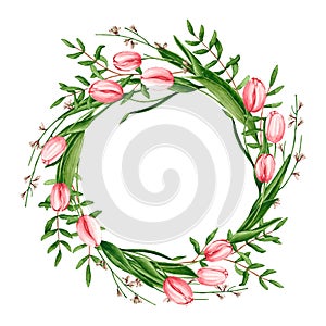 Round wreath with watercolor tulips, genista, pistache branches. Hand drawn illustration is isolated on white. Flower frame