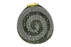 Round zucchini on white