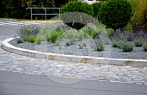 Roundabout of paving gray granite cubes, transport hub, with flowers and grasses in the middle of the circle. conifers shaped into