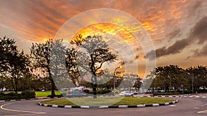 Roundabout at Stellenbosch