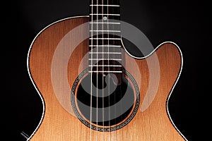 Roundback acoustic guitar with rosette purfling and extended fin photo