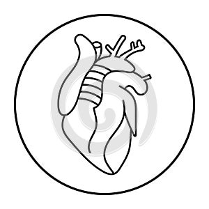 Rounded a human heart internal organs line art icon for apps or website
