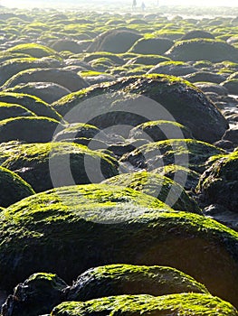 Rounded pavement boulders on Hunstanton beach