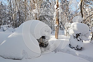 The rounded snow and blue sky photo