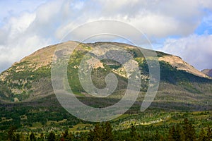Rounded Tree Covered Mountain Top