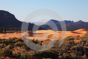 Roundish forms of sandy dunes