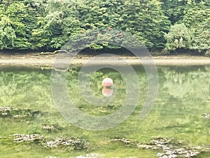 Mooring buoy in blissful creek photo