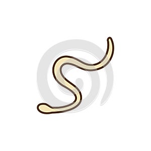 Roundworms Concept vector colored icon or sign