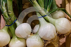 Roup of onions