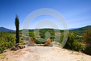 Roussillon, Vaucluse, France - view at the vineyards