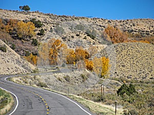 Route 50 in Colorado passes brilliant fall colors near Black Canyon of the Gunnison National Park.