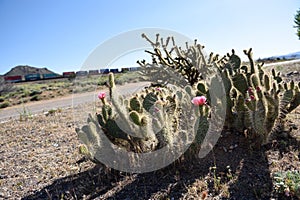 Route 66, the ghost behind the legend