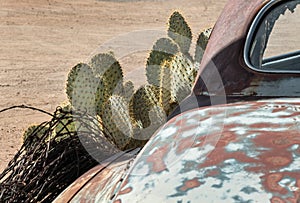 Route 66 roadside art, Arizona desert