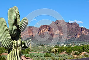 Route 66 Arizona cactus red mountain