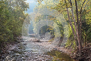 Seneca Rocks Trail, Monongahela National Forest, West Virginia