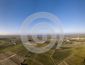 Route des Chateaux, Vineyard in Medoc, amous wine estate of Bordeaux wine