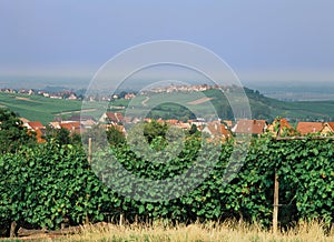 Route des vins alsace france photo