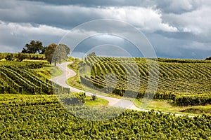 Route du vin in Alsace france