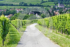 Wein,. Frankreich 