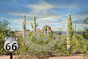 Route 66 fabulous scenery cactus red rocks beautiful sunset Arizona Desert