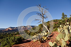 Route 66, the ghost behind the legend photo