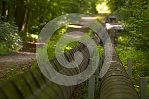 Sunlit trail alongside industrial pipelines through forest area