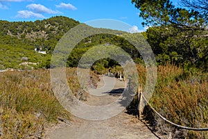 Route between the sand dunes